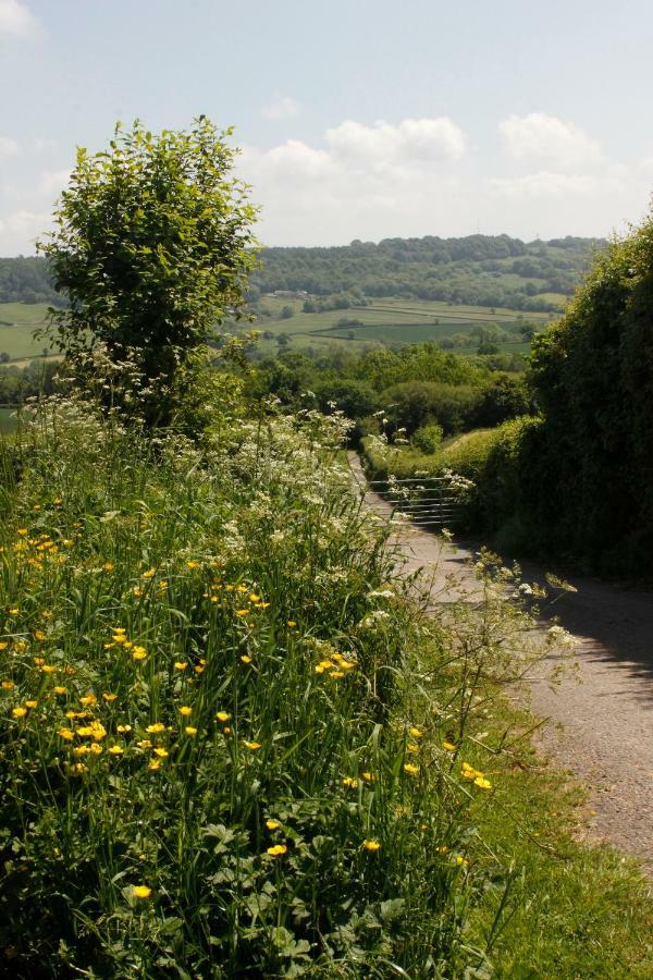 Odle Farm Villa Honiton Exterior foto