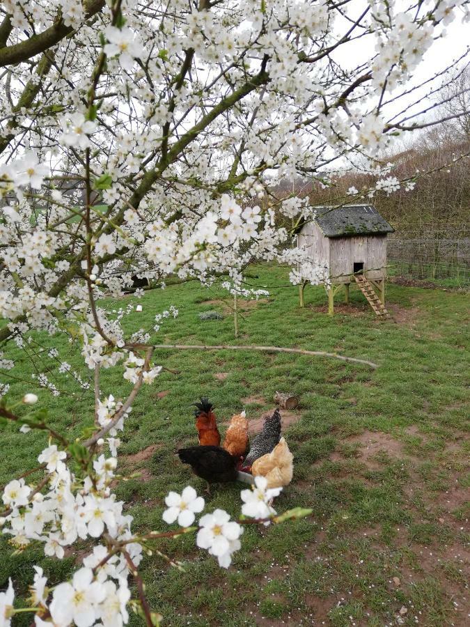 Odle Farm Villa Honiton Exterior foto